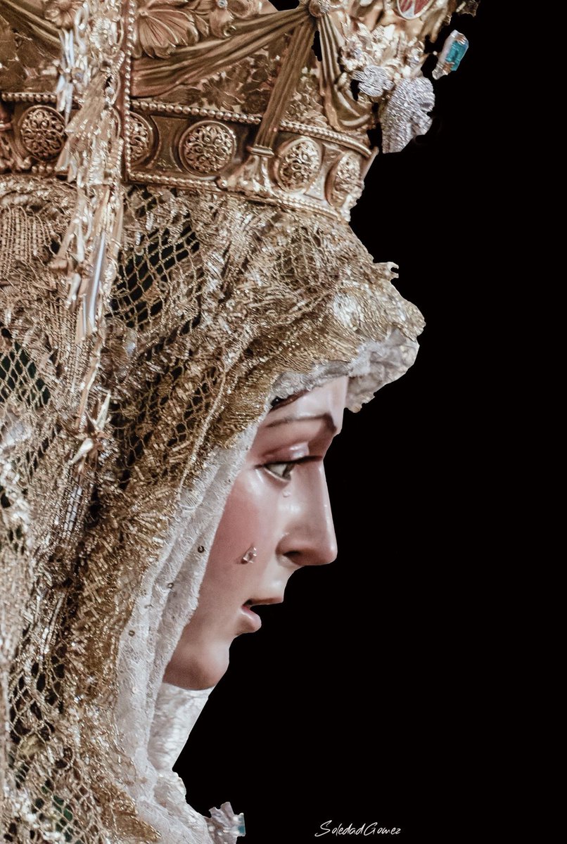 Amapola moreeena <a href="/alhelisevilla/">alhelí</a>