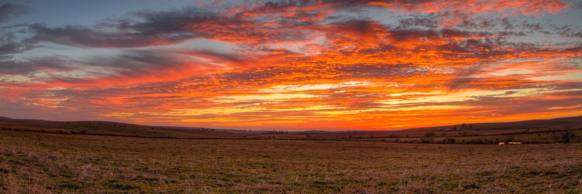 John Getchel tweet media