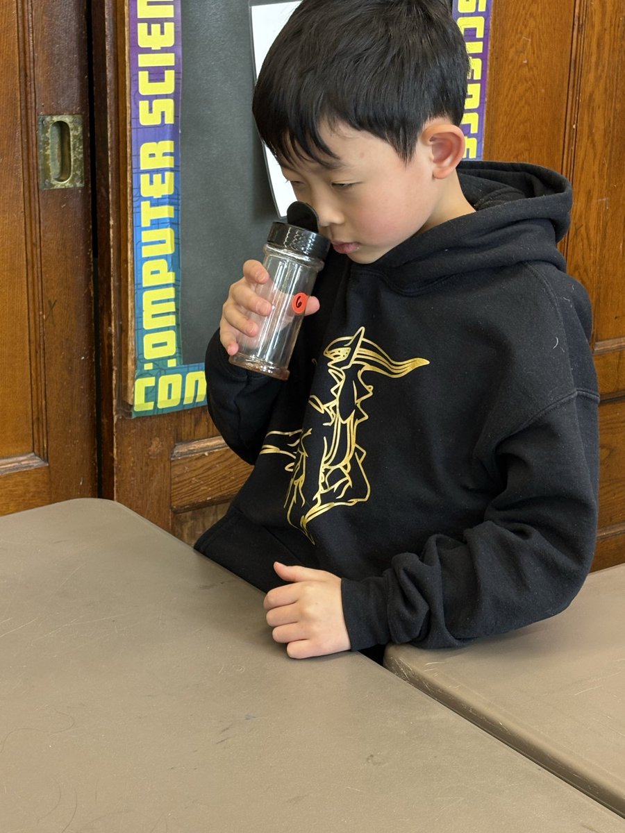 CounselorCalm's tweet image. Today in #MindUP we explored our sense of smell 👃🧠 We read Stop and Smell the Cookies and worked together to guess mystery scents. A fun, hands-on way to connect our brains, senses, and mindful breathing! #SEL #MindfulLearning #ElementaryEducation