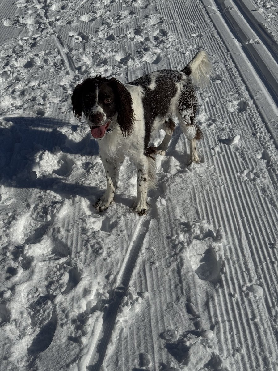 Bill Cole tweet media