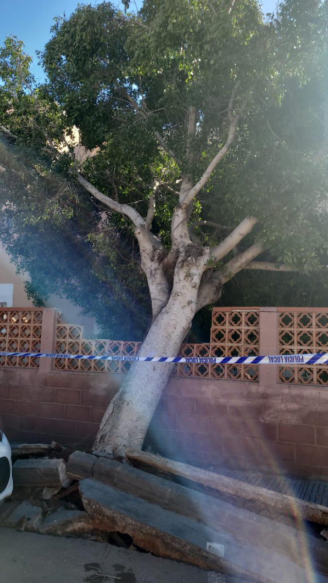 Manu Jiménez Roig tweet media