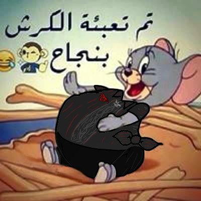B✨ tweet media