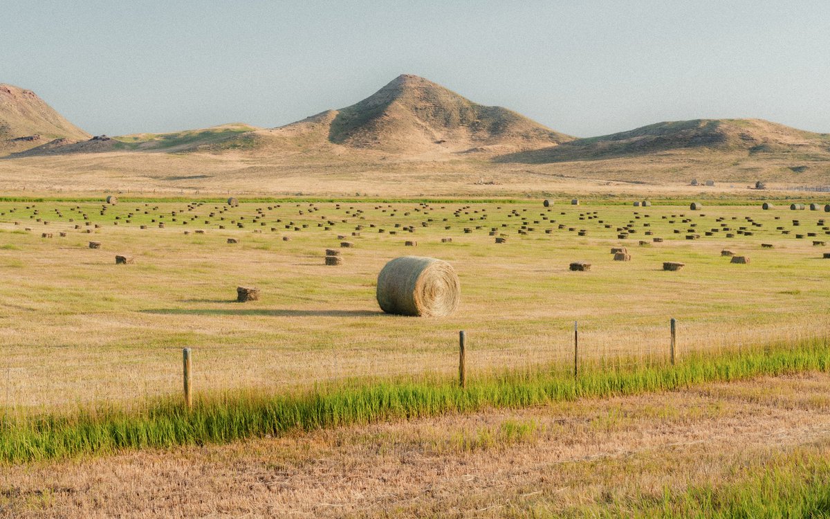 Jeff Mihaly tweet media