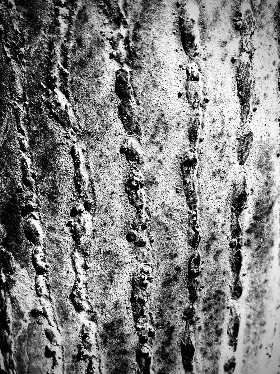 Avantologist's tweet photo. lines
#arizona #phxart #bnw #metal #texture https://t.co/32XCHl6Cn9
