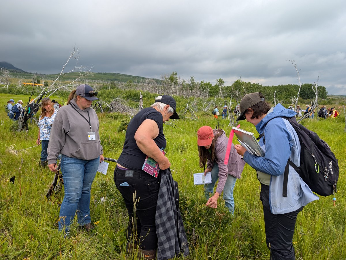 Foothills Forage & Grazing Association tweet media