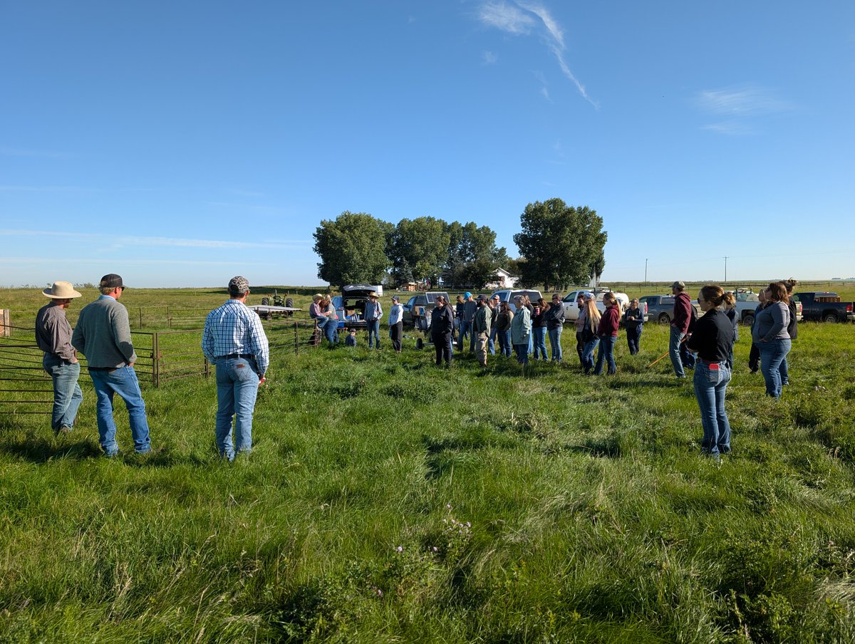Foothills Forage & Grazing Association tweet media