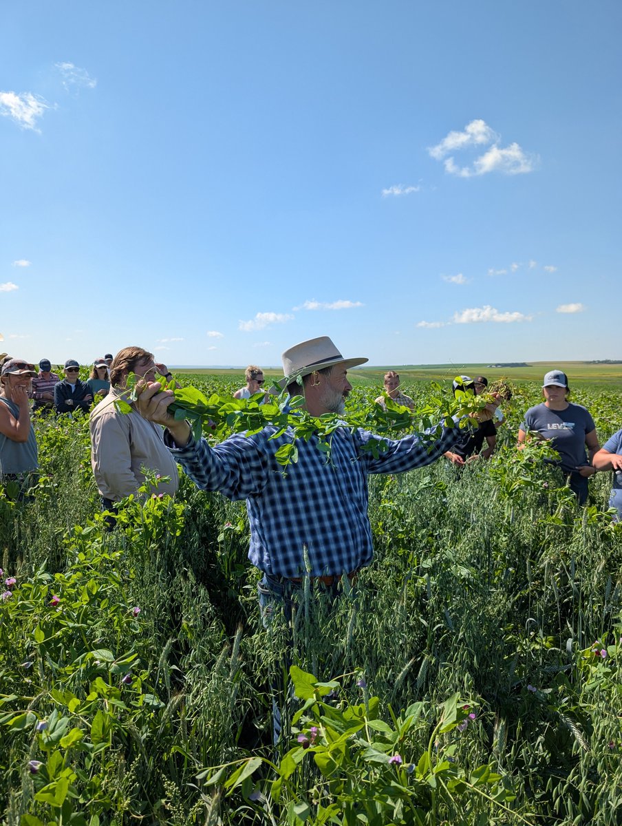 Foothills Forage & Grazing Association tweet media