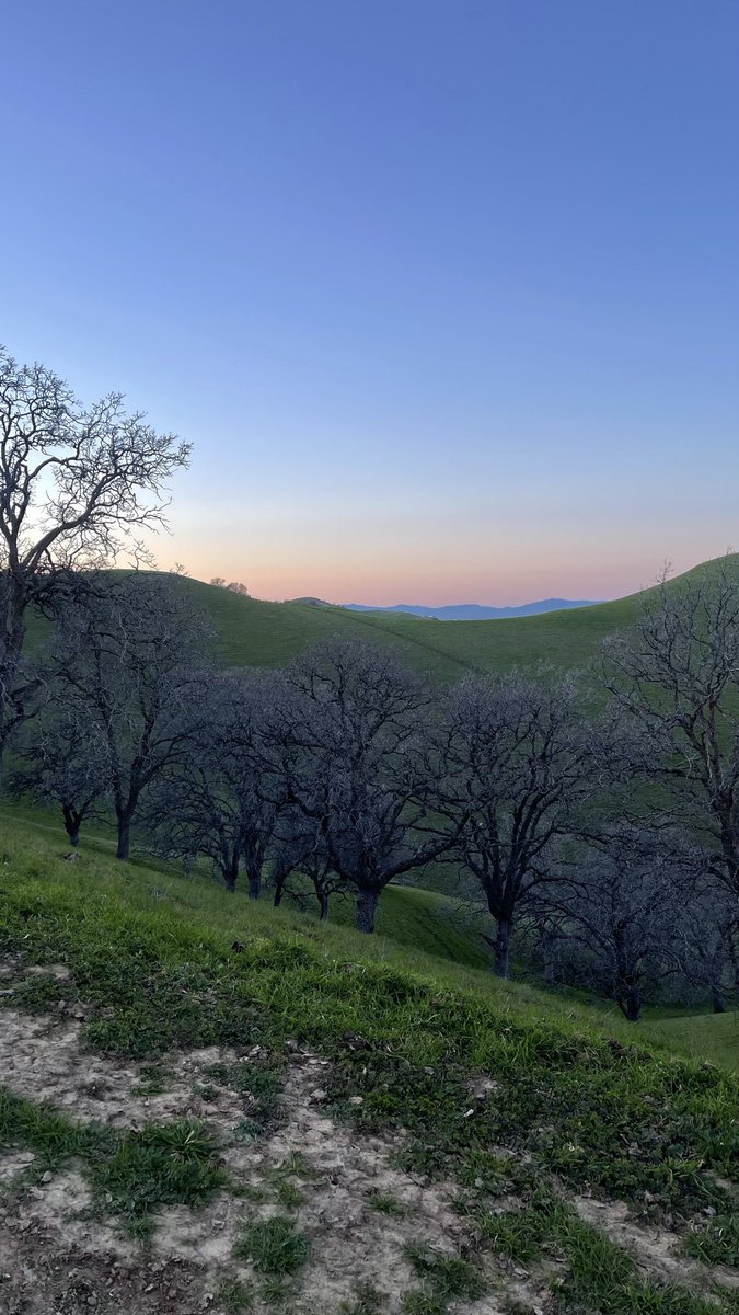 b͛b͛r͛e͛n͛t͛e͛n͛n͛ 🍀 (@bbrentenn) on Twitter photo 