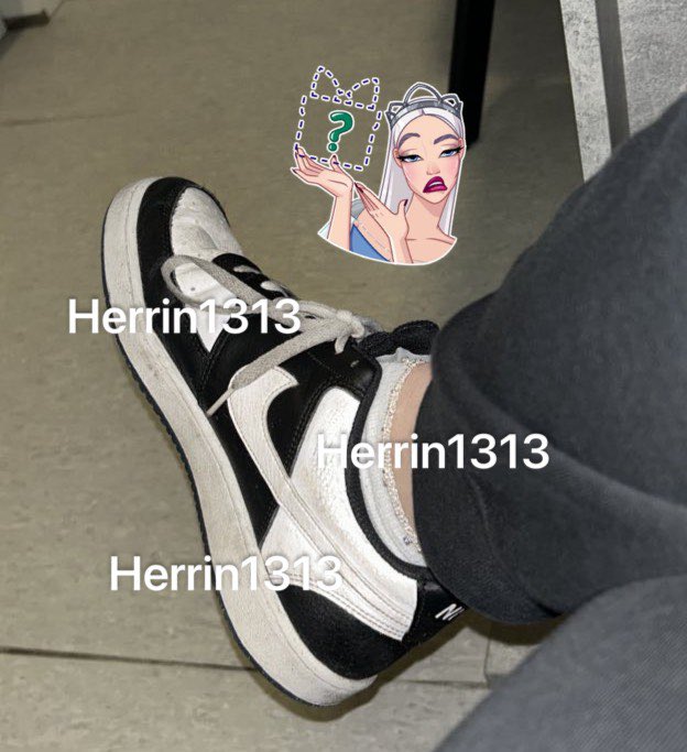 Hopp Hopp, stell dich vor 🫵🏽
Natürlich mit Tribut 🎁 
#Geldherrin #Findom #Zahlsklave #Geldsklave #Tribut