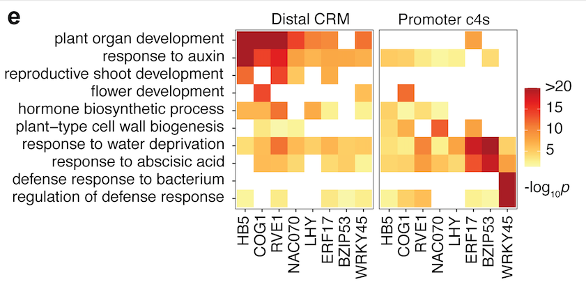 Ronan O'Malley tweet media