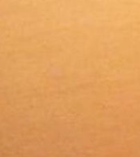 Timothurrier's tweet image. 友達が嬉しい 🏜️