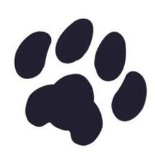 SimmsSharon's tweet image. 遊びが浅い 🌜