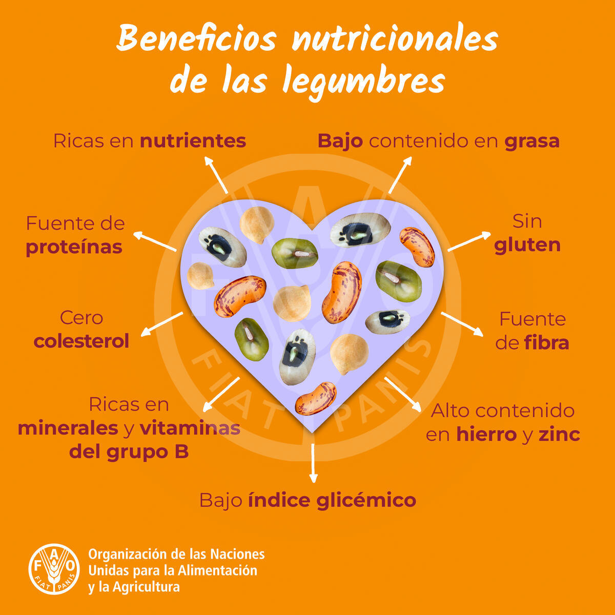 ¡Las legumbres son un superalimento!

Ayudan a la salud del corazón, estabilizan el azúcar en la sangre y te mantienen saciado.

¡Disfruta al máximo sus beneficios! 🍛💚 ¿Te atreves a probar nuevas recetas?: fao.org/newsroom/story…