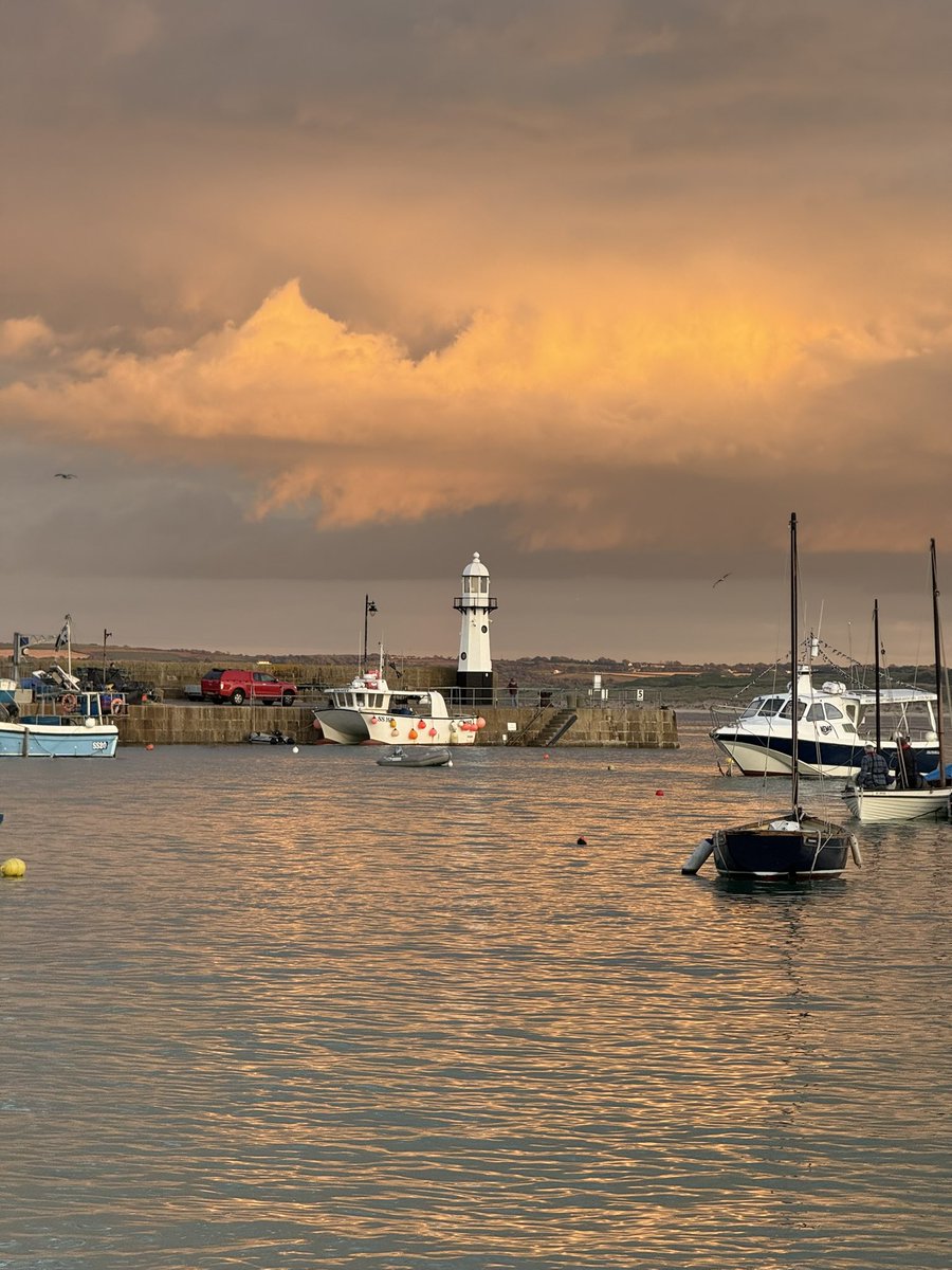 Emma Esberger tweet media