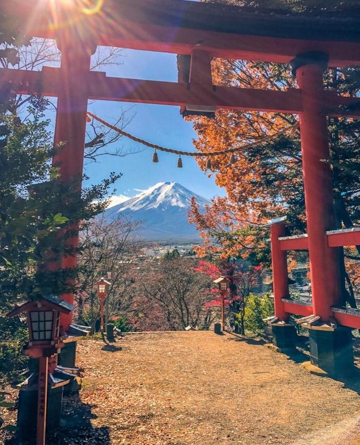 SkinheadAlex's tweet image. 夢が優しい 🦊