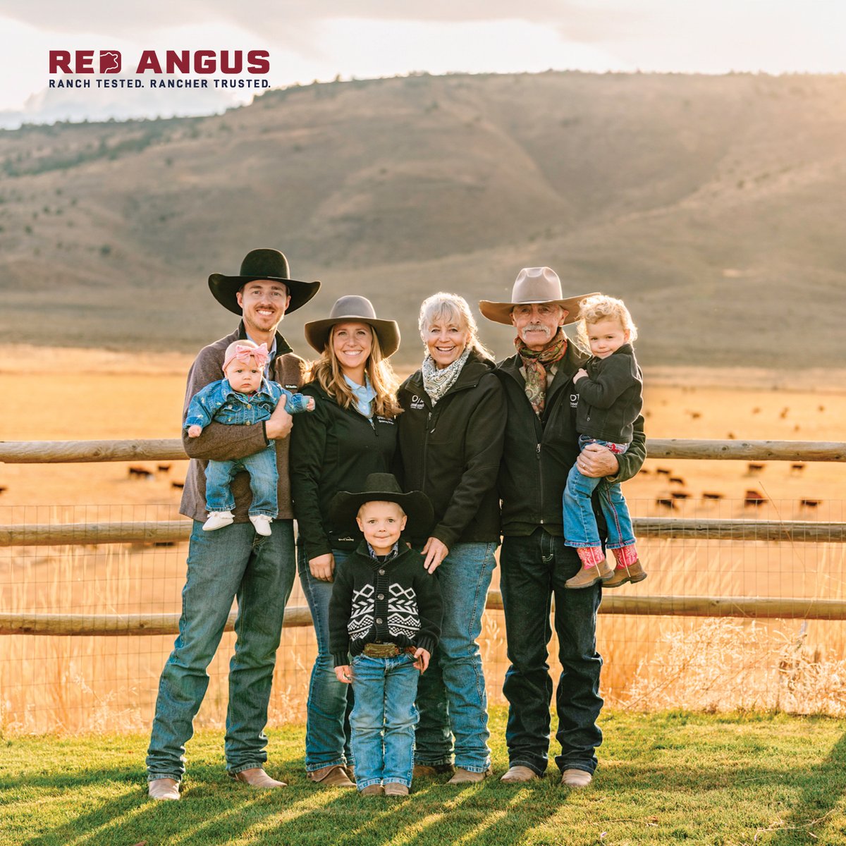 Red Angus America tweet media