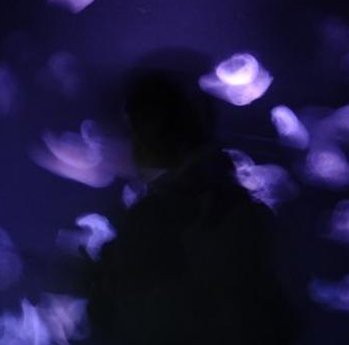 simonwalker90's tweet image. 浅い飲み物 🤠