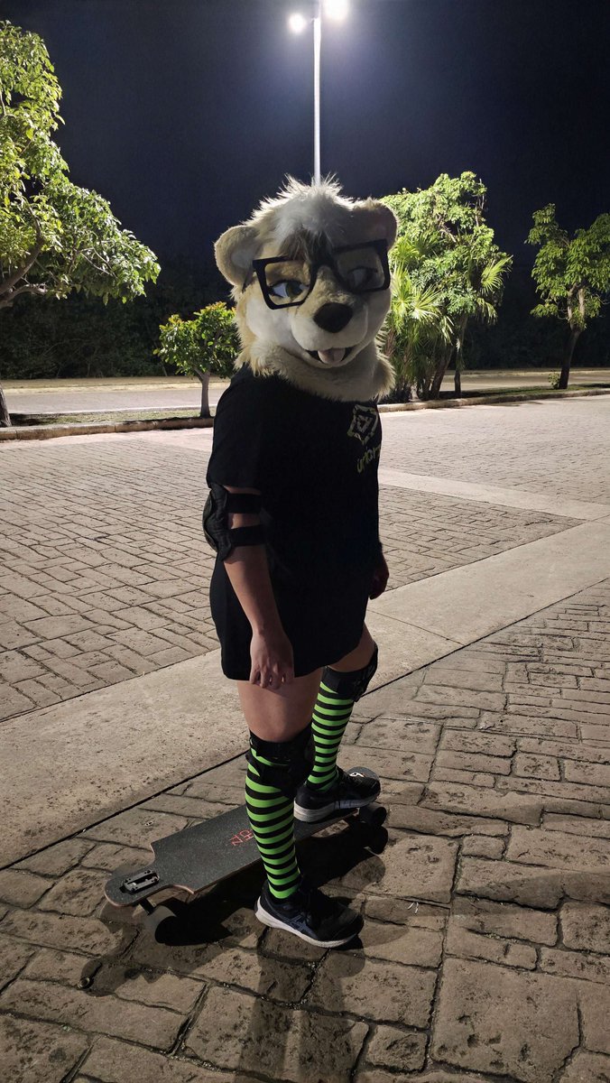 Snowy goes woof awrf tweet media