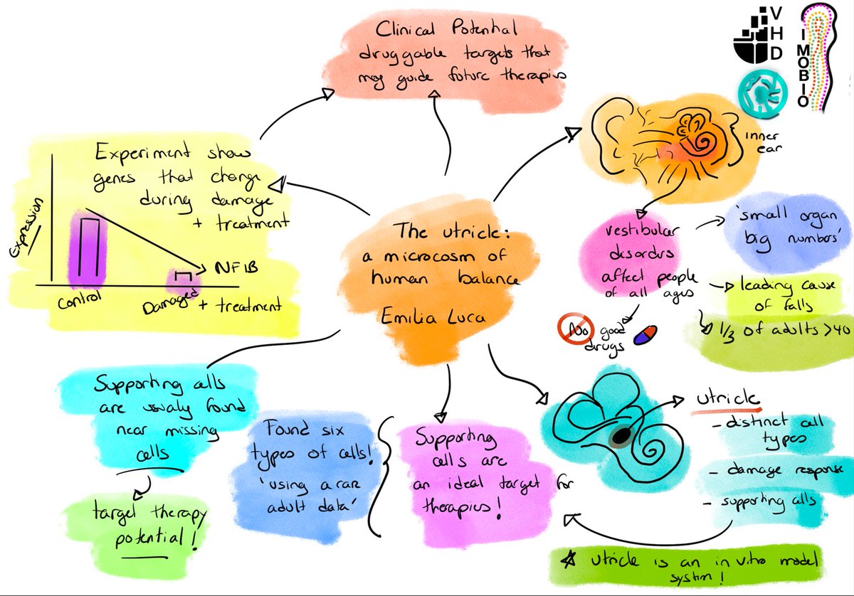 Emilia Luca 🇮🇹🇨🇦🇺🇦 tweet media