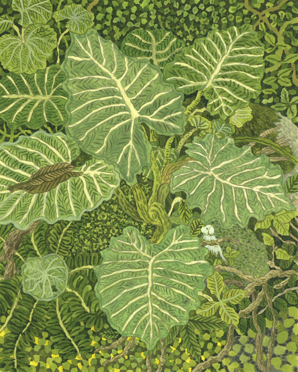 nakamuraippan's tweet image. 