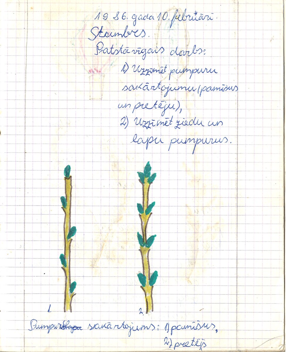 Oskars Keišs 🇺🇦 tweet media