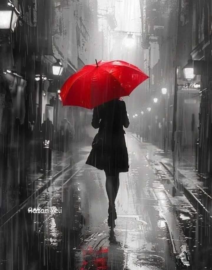 Tuttuğunuz yol güzel ise;
Nereye gittiğini sorgulamayalım.!
Ayaklar,kalbin gittiği yere gider.
🌛🌛