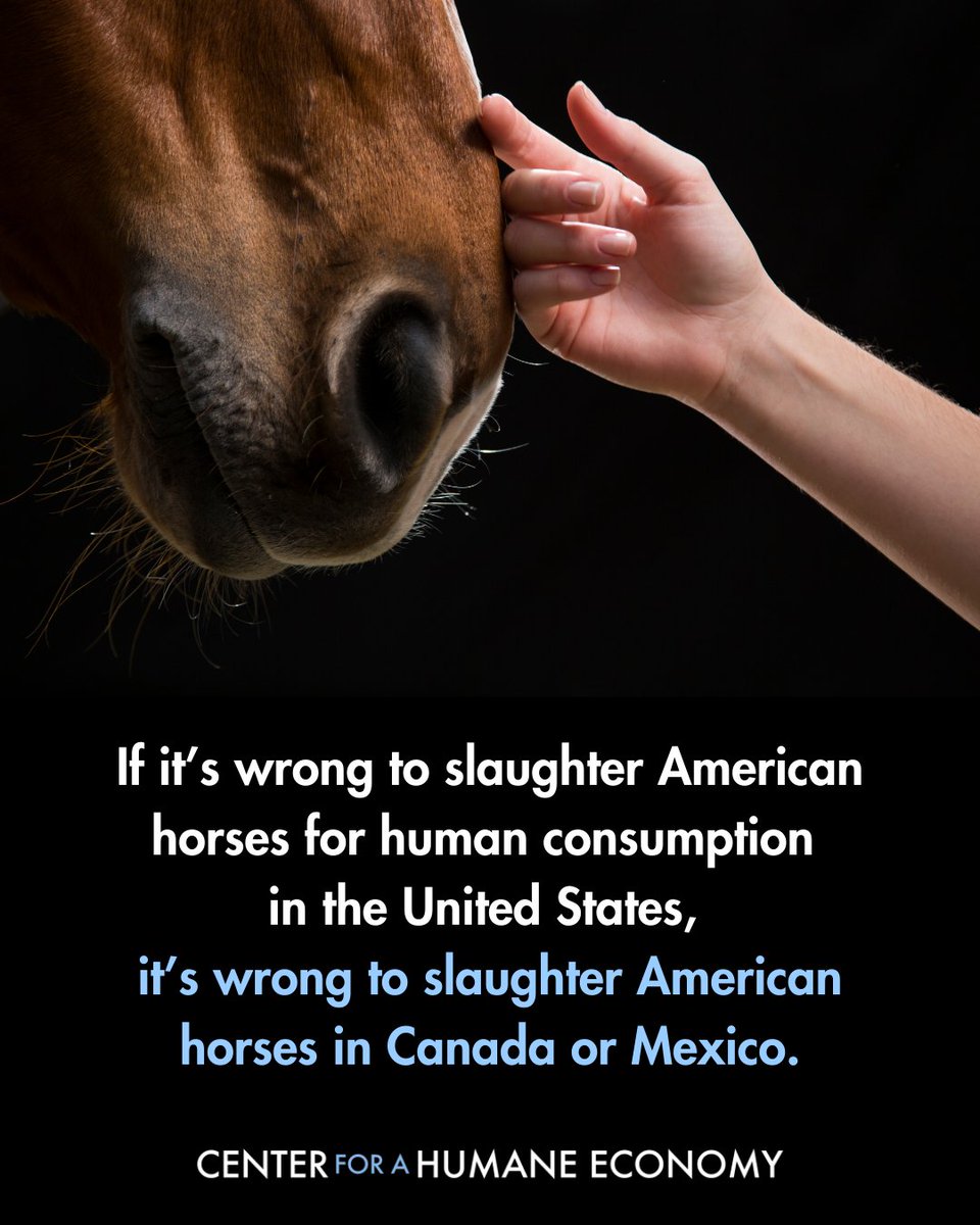 Center for a Humane Economy tweet media