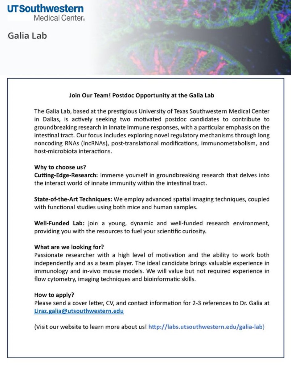 Liraz Galia tweet media