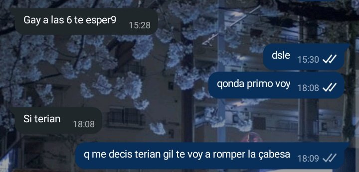 q le pinto al peluquero gato me re encasque