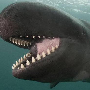 SmartSystemsRus's tweet image. 学校が醜い 🍗