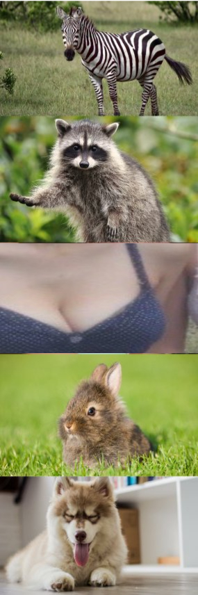 easbi87755675's tweet image. cdn.videy.co/PZHIINFs1.mp4