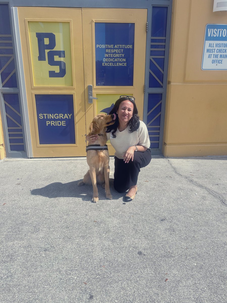 Dr. Pamela McDonnough tweet media