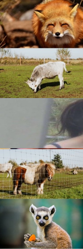 easbi87755675's tweet image. cdn.videy.co/PZHIINFs1.mp4