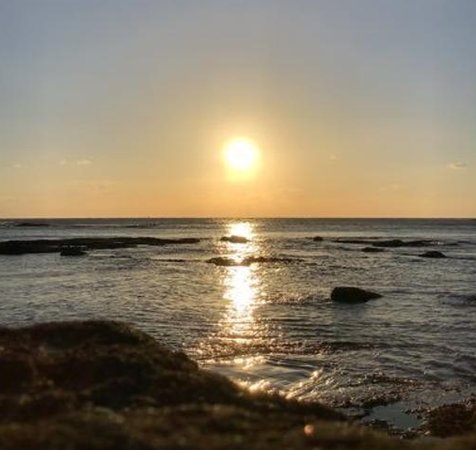 CThorsten's tweet image. 街は美しいです 👮