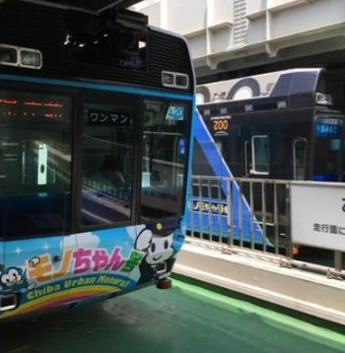 snowdevils2's tweet image. どこの猫でしょう？ 🤯