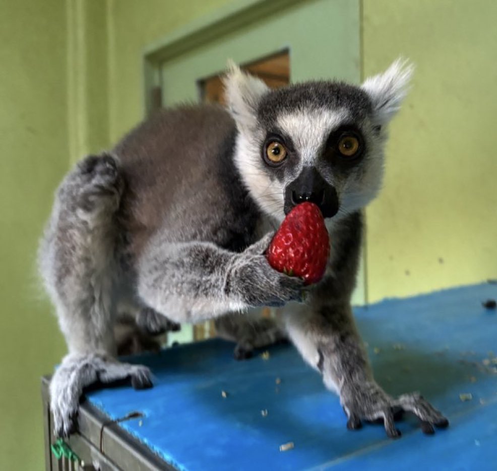 え？ケンコク？そうなの？