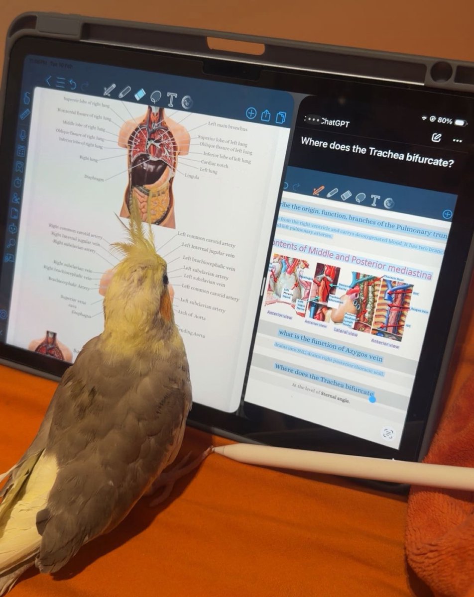 والله لو انه بيختبر عني م ركز هالكثر