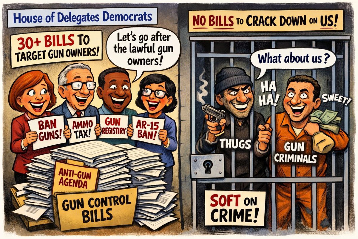 A picture is worth 1000 words.  

This is the most accurate depiction of the fake "2026 Make Virginia Safer Campaign" by the House Democrats I have ever seen.