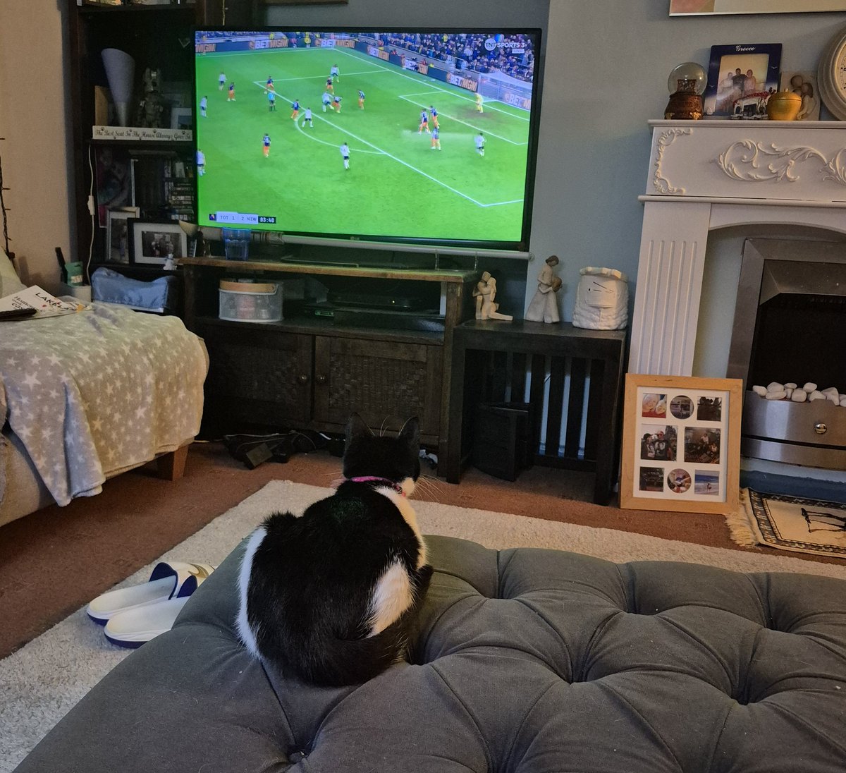 Mila cheering on Eddie's boys #ToonArmy