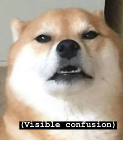 Dav!d🏳️‍🌈 tweet media