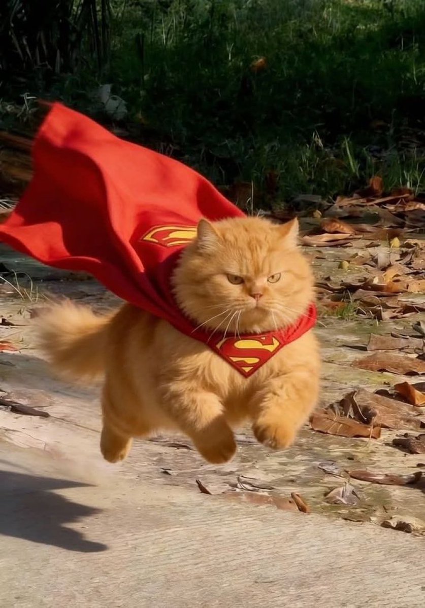 ヤバッ...上昇でけん...