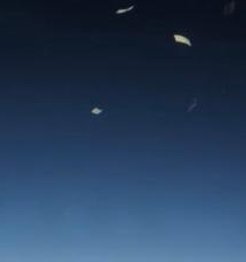 luv2writeh8math's tweet image. おでんの気分 🦼