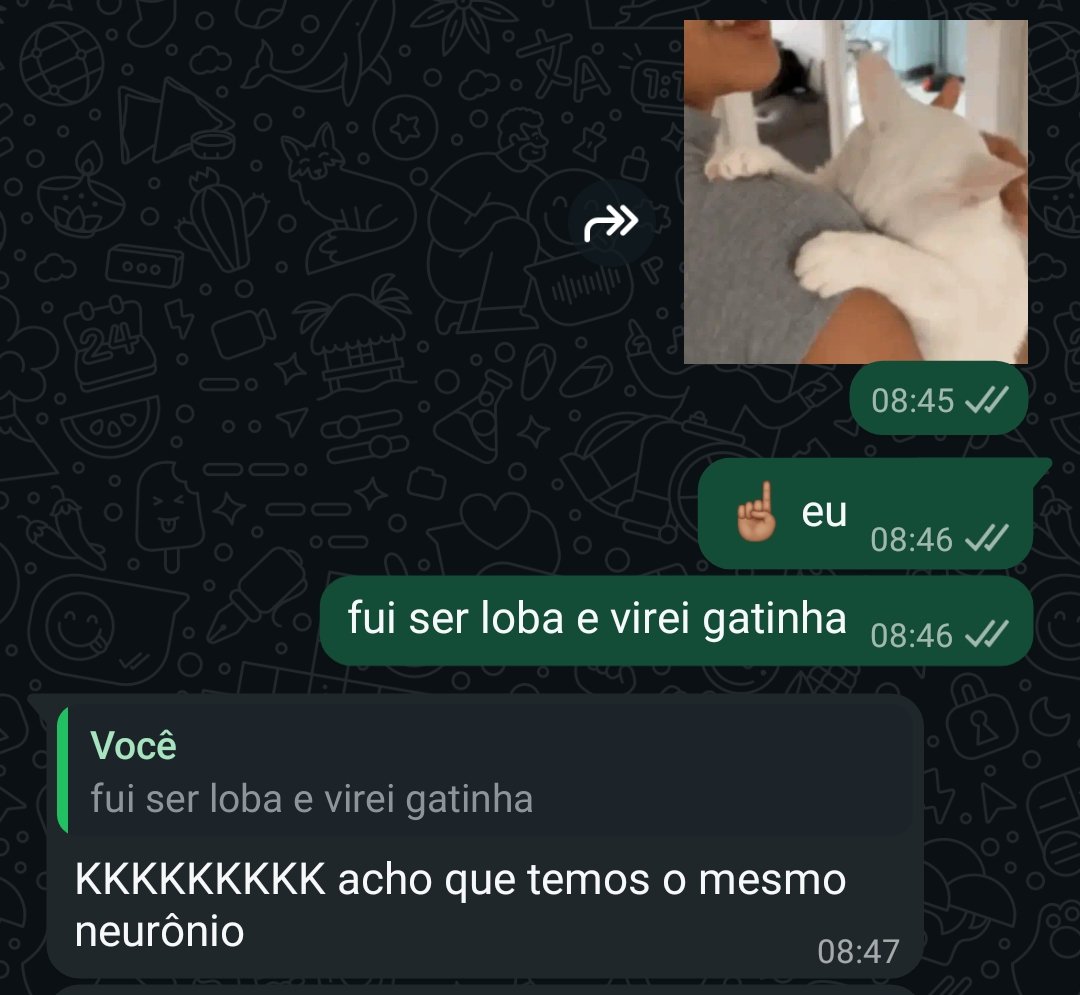 devendoagiota's tweet photo. somox irmãx https://t.co/G1kpPcHSrR