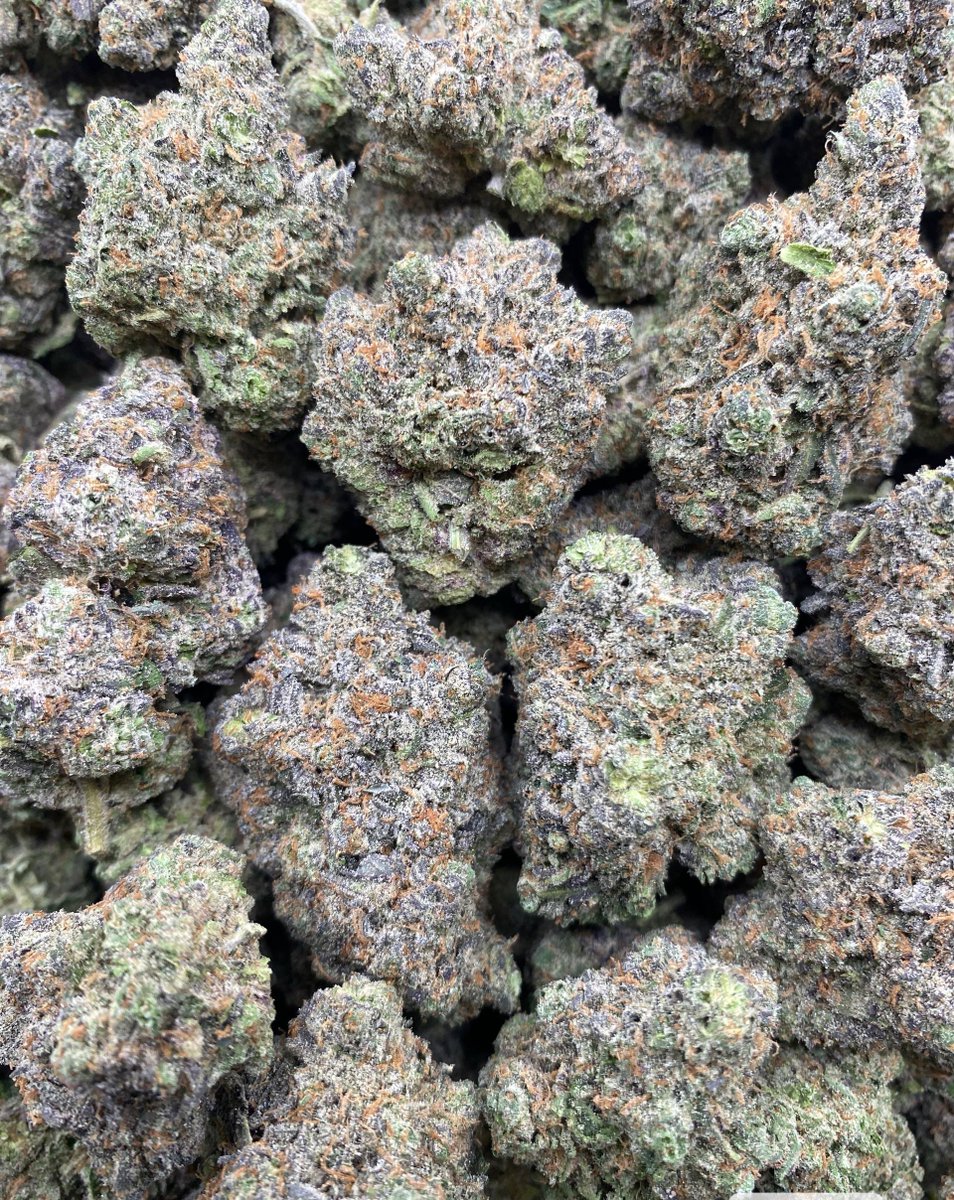 GIAEXOTIX's tweet image. Black Jack 

A beautiful Sativa Banger! 
Who loves that citrus smell?!

Check out the link for full media 

duanym138.org/GIAEXOTICS

t.me/+oWiAD5vPLVM1N…

#cannabis #thc #indoor #weed #backpackboyz #muhameds #madlabs #hash #terps #usa #sativa #indica #exotic #zaza #stoners #ny