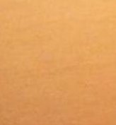 TeddyBootzz's tweet image. 自転車で作る 🧛