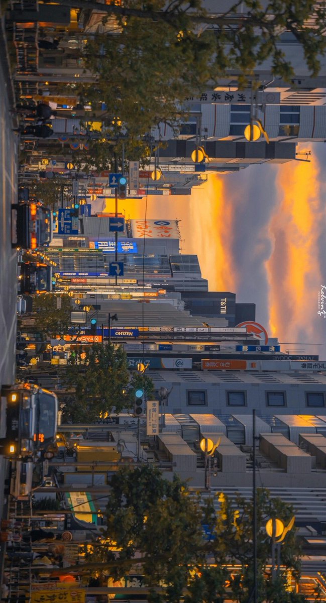 Marc510's tweet image. 朝が冷たい 🐐