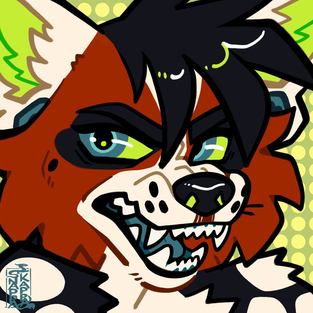 SNAPPA (same on 🦋) tweet media