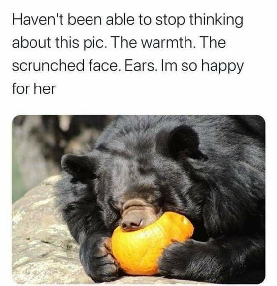 WholesomeMeme's tweet photo. https://t.co/iw3nuI0KKQ