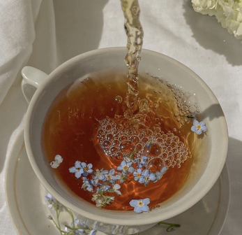 STARYUME🌙 family & platonic tweet media