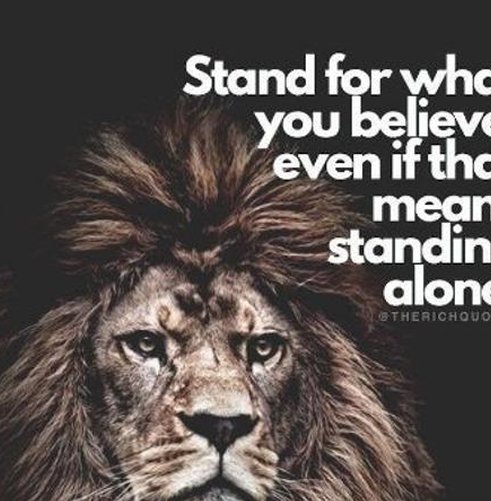 PincoAt's tweet image. ヨガして安心 🌲